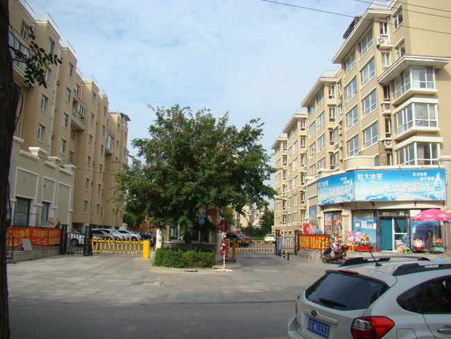 寶地曼哈頓B2區